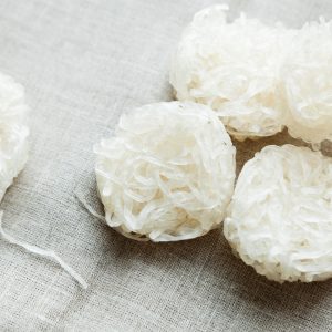 Naked DRIED KONYAKU 2